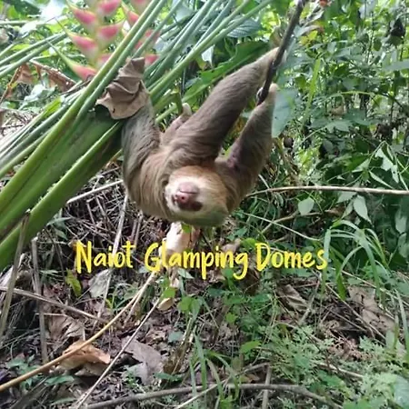 Glamping Naioth Apartment Guapiles Exterior photo