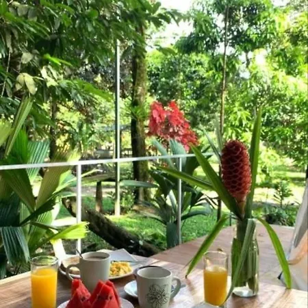 Glamping Naioth Apartment Guapiles Exterior photo