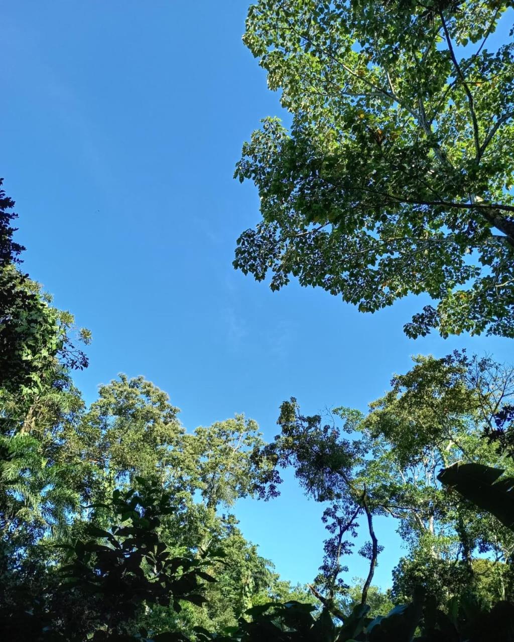 Glamping Naioth * Guapiles