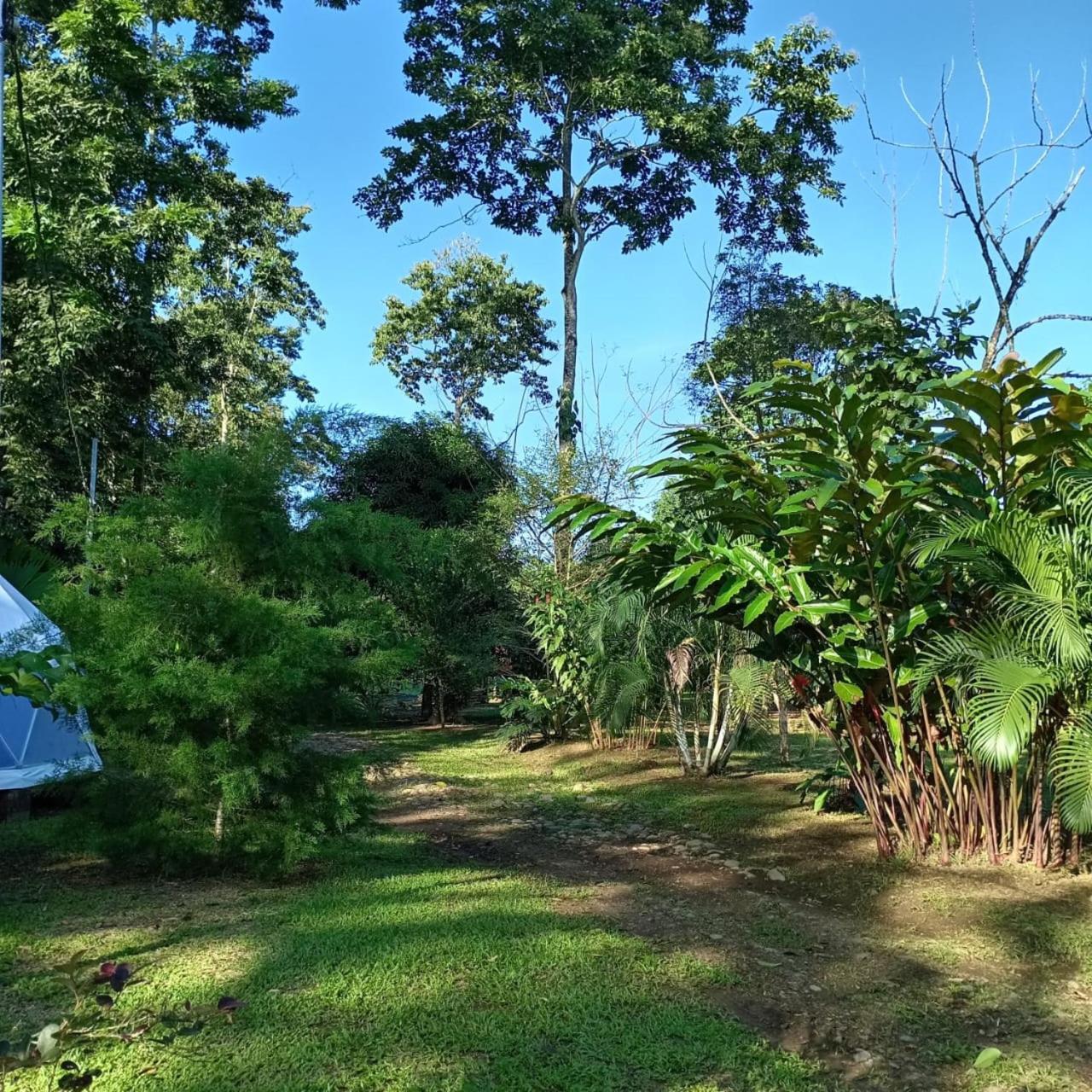 Glamping Naioth Apartment *
