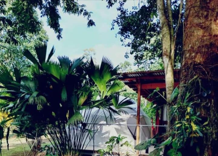 Glamping Naioth * Guapiles