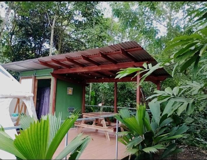 Apartment Glamping Naioth *