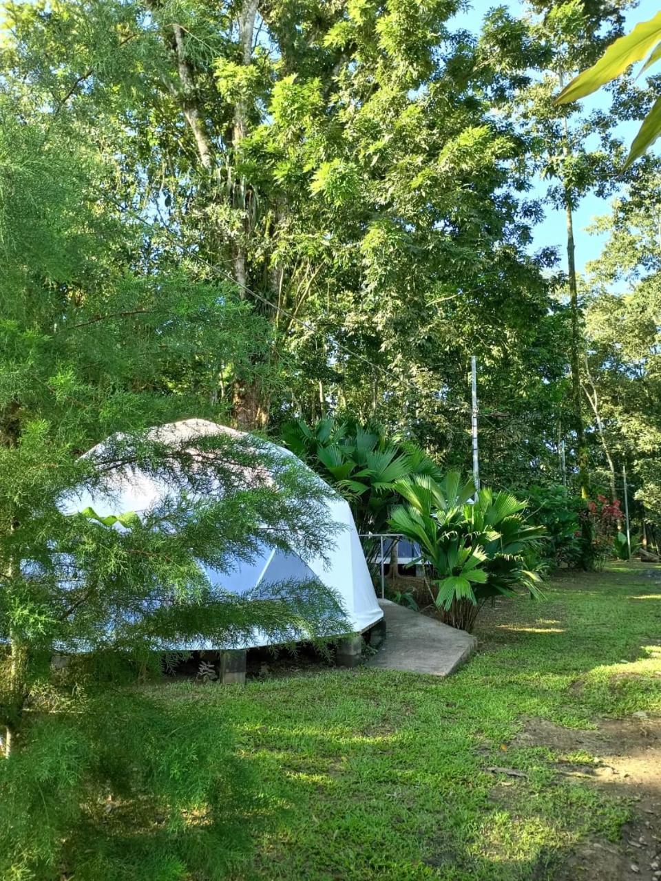 Glamping Naioth Guapiles