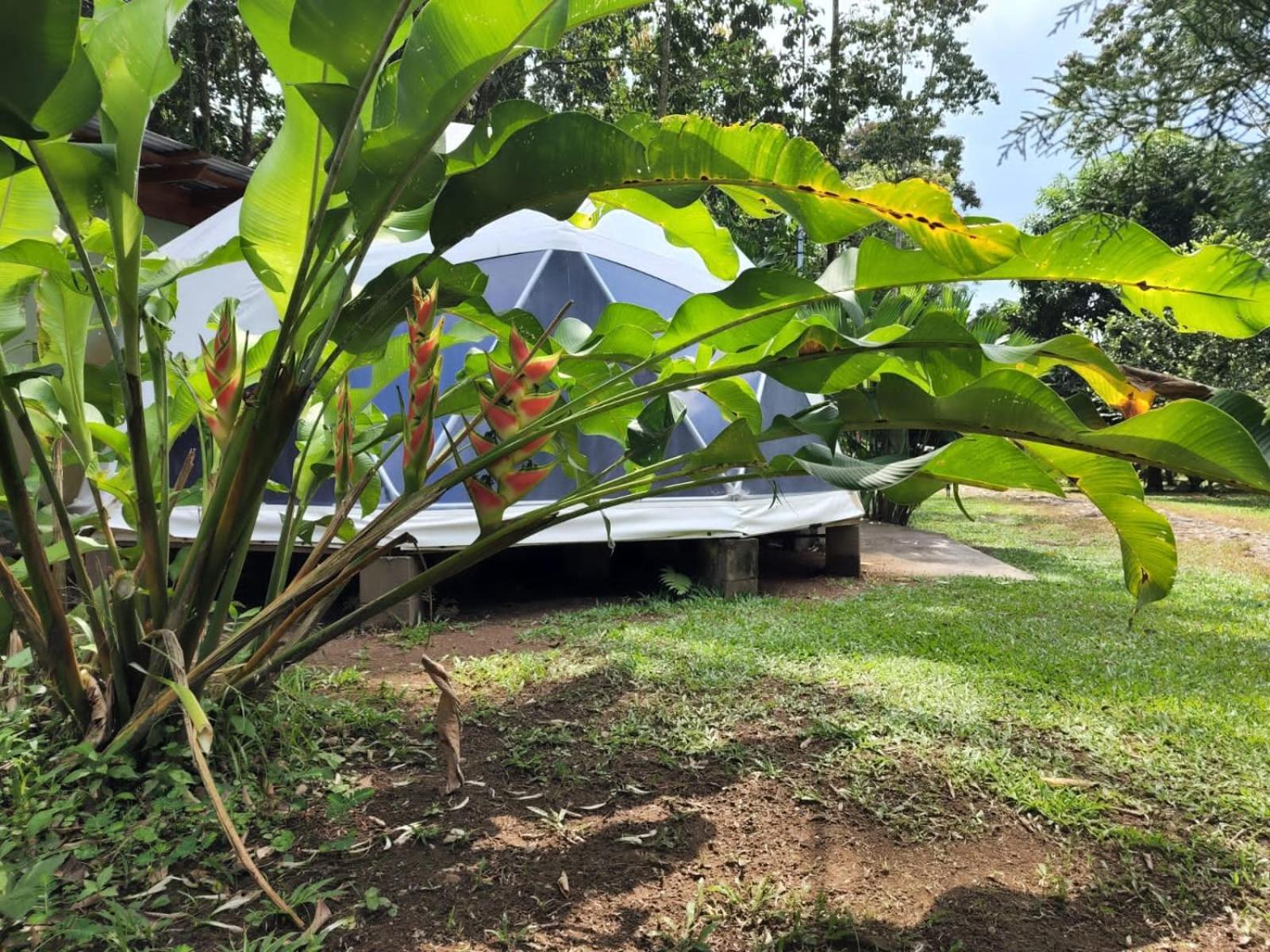 Glamping Naioth *