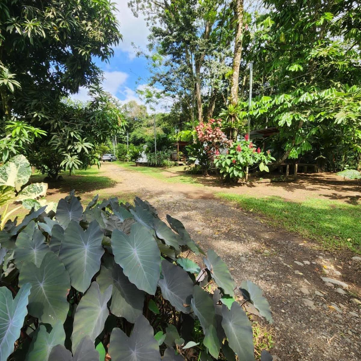 Apartment Glamping Naioth Guapiles