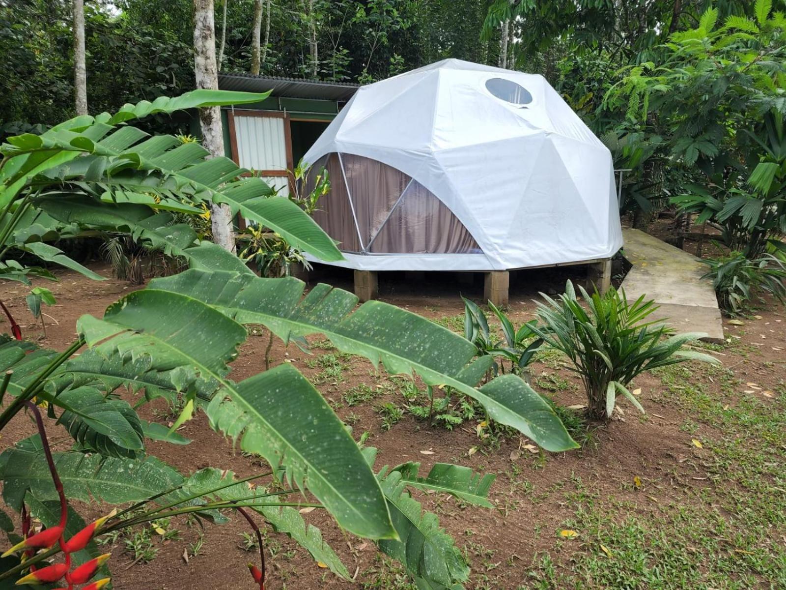 Glamping Naioth Apartment