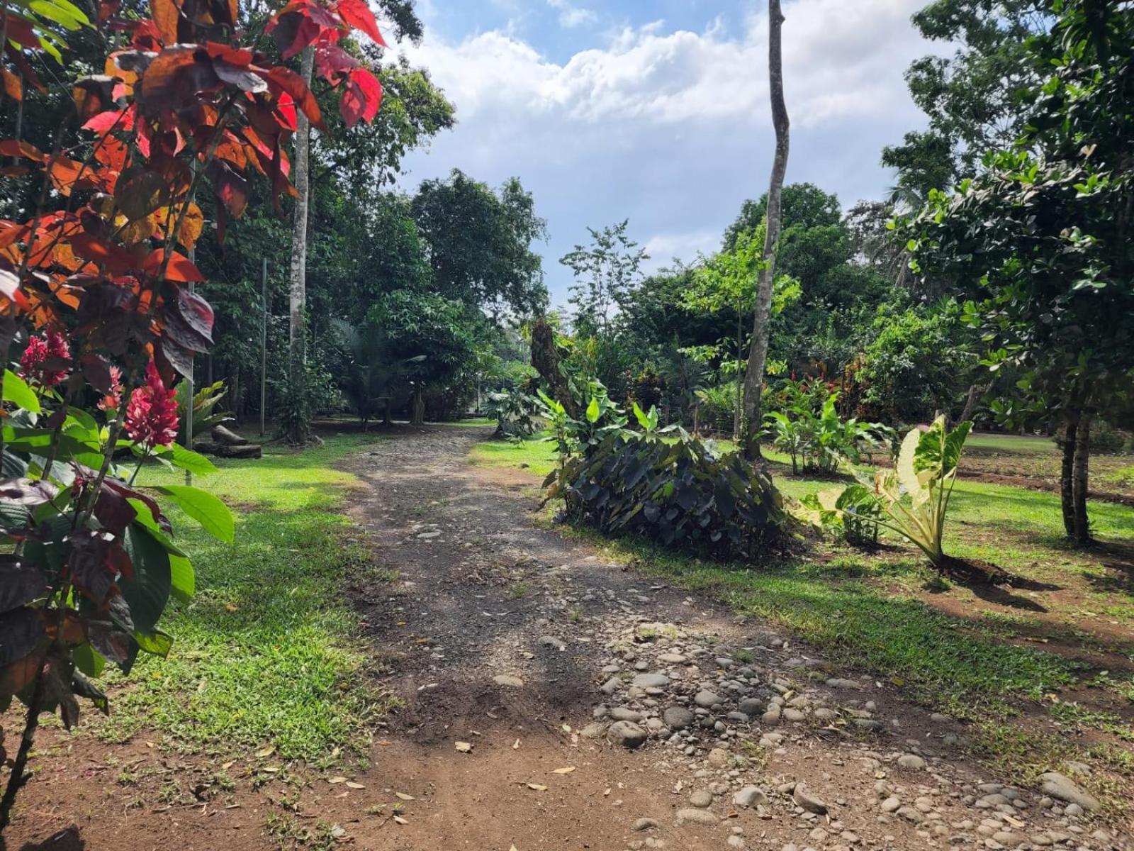 Glamping Naioth * Guapiles