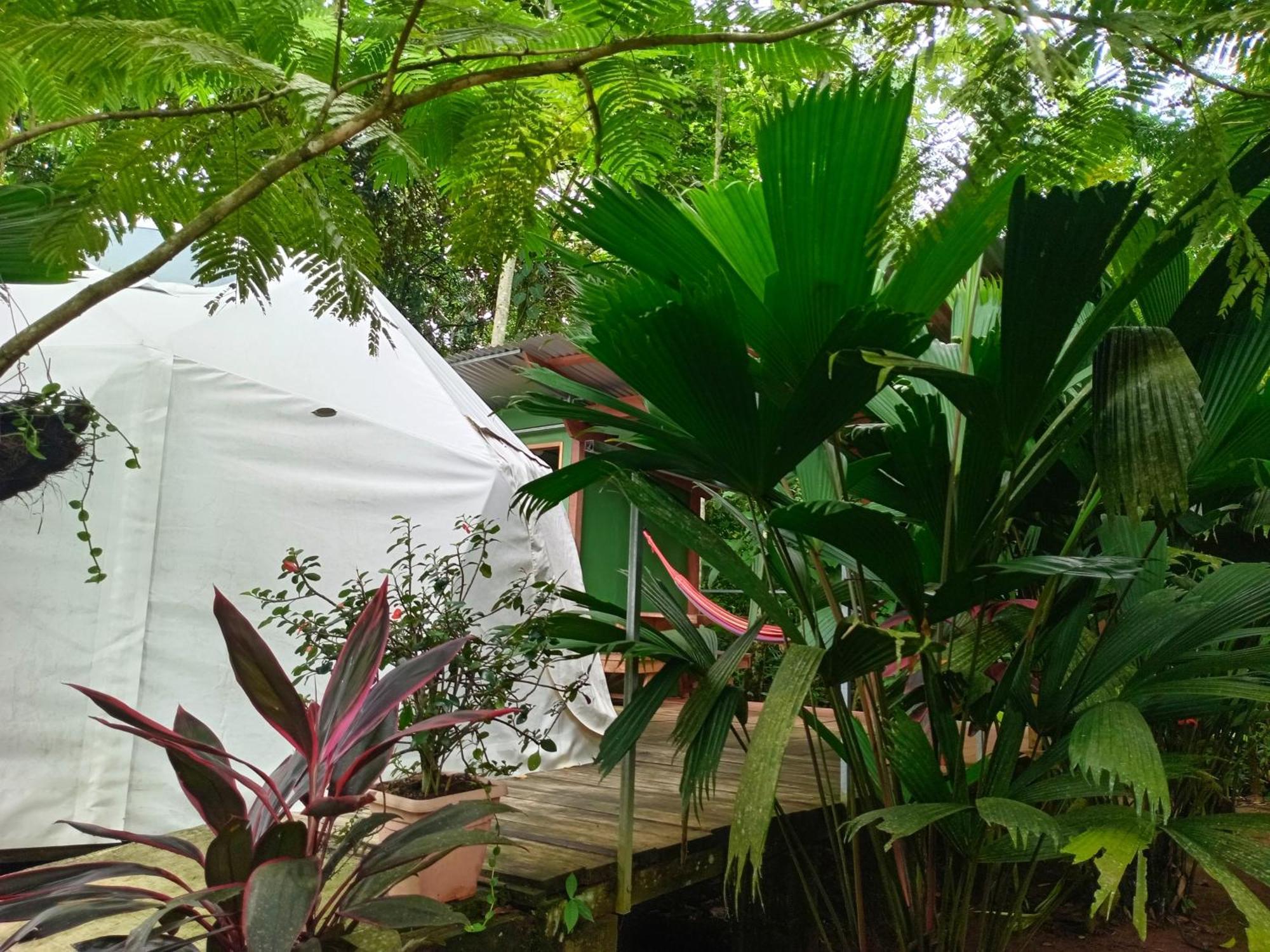 Glamping Naioth Apartment Guapiles