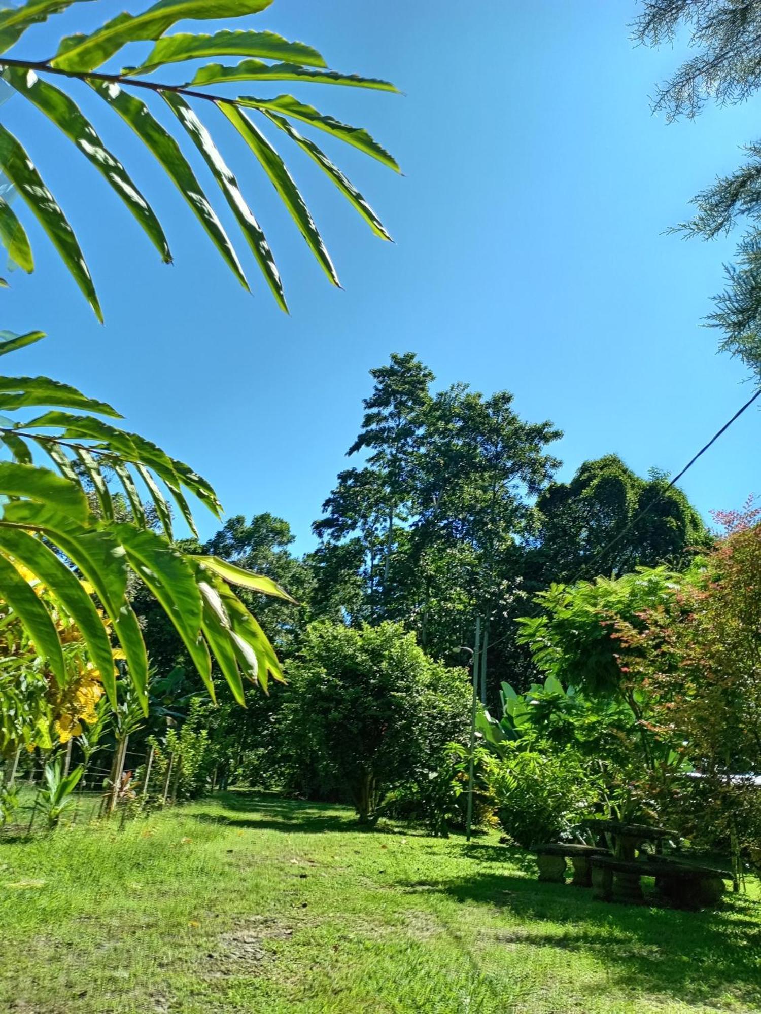 Glamping Naioth Apartment Guapiles