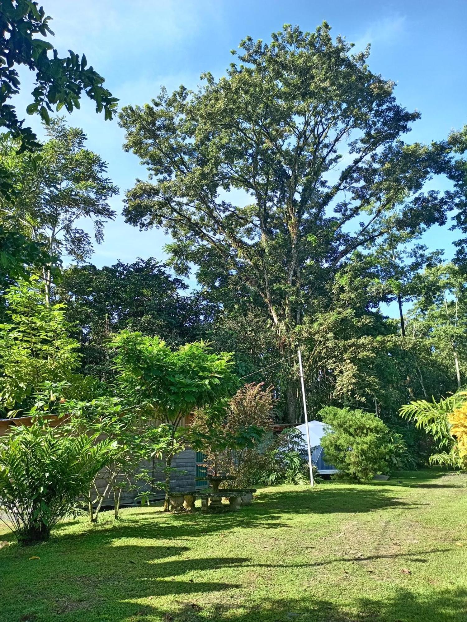 Glamping Naioth Guapiles